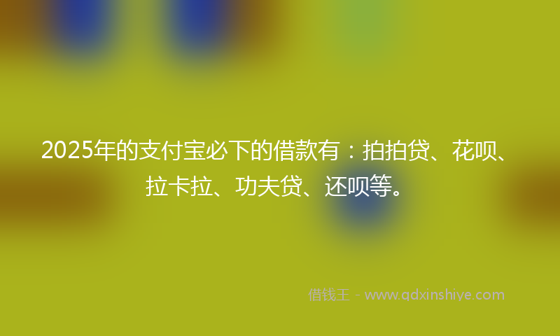 2025年的支付宝必下的借款有：拍拍贷、花呗、拉卡拉、功夫贷、还呗等。