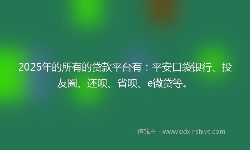 2025年的所有的贷款平台有：平安口袋银行、投友圈、还呗、省呗、e微贷等。