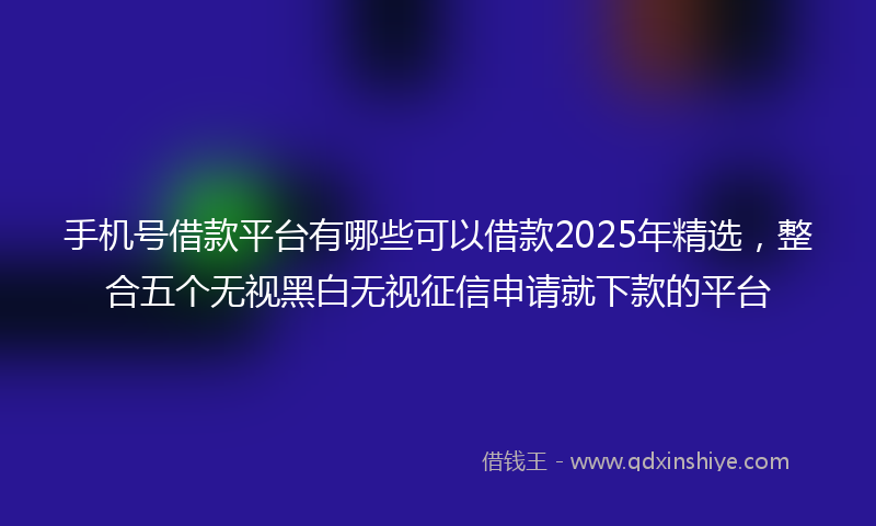 手机号借款平台有哪些可以借款2025年精选，整合五个无视黑白无视征信申请就下款的平台