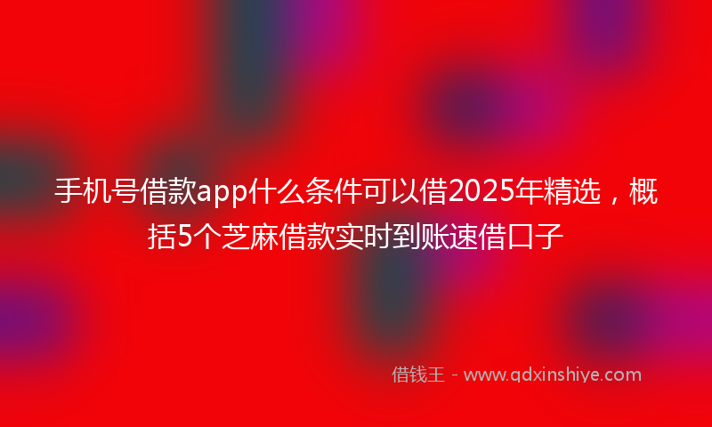 手机号借款app什么条件可以借2025年精选，概括5个芝麻借款实时到账速借口子