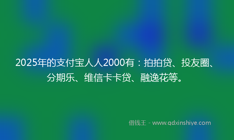 2025年的支付宝人人2000有：拍拍贷、投友圈、分期乐、维信卡卡贷、融逸花等。