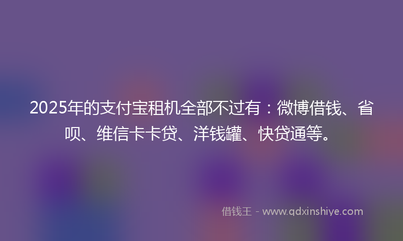 2025年的支付宝租机全部不过有：微博借钱、省呗、维信卡卡贷、洋钱罐、快贷通等。