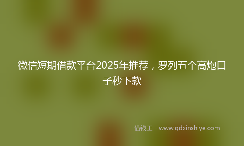 微信短期借款平台2025年推荐，罗列五个高炮口子秒下款