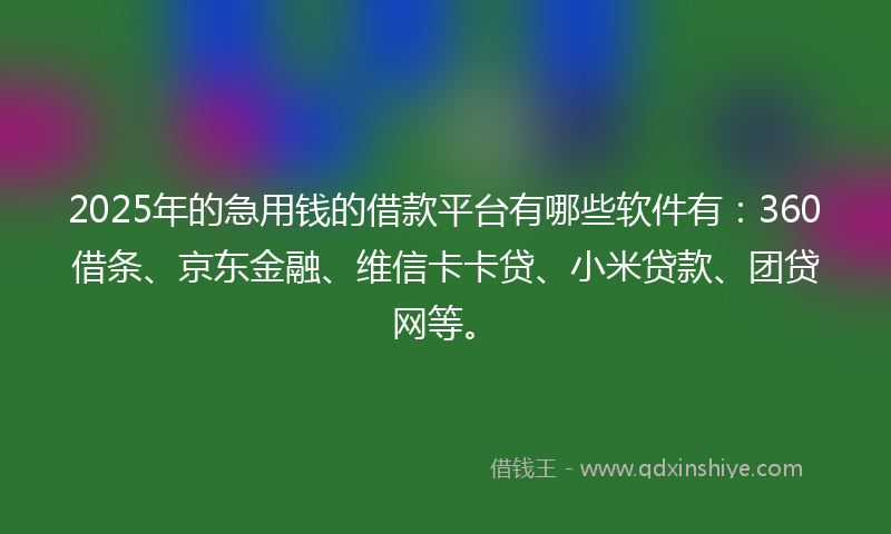 2025年的急用钱的借款平台有哪些软件有：360借条、京东金融、维信卡卡贷、小米贷款、团贷网等。