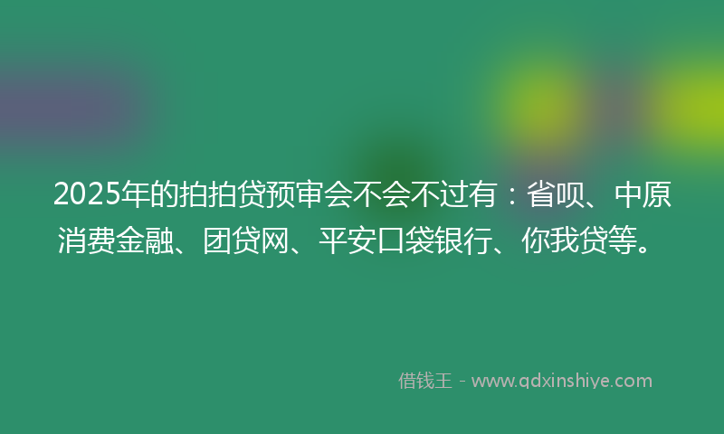 2025年的拍拍贷预审会不会不过有：省呗、中原消费金融、团贷网、平安口袋银行、你我贷等。
