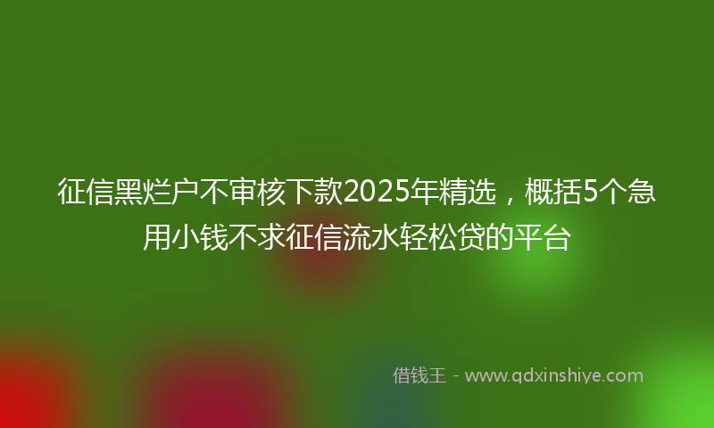 征信黑烂户不审核下款2025年精选，概括5个急用小钱不求征信流水轻松贷的平台