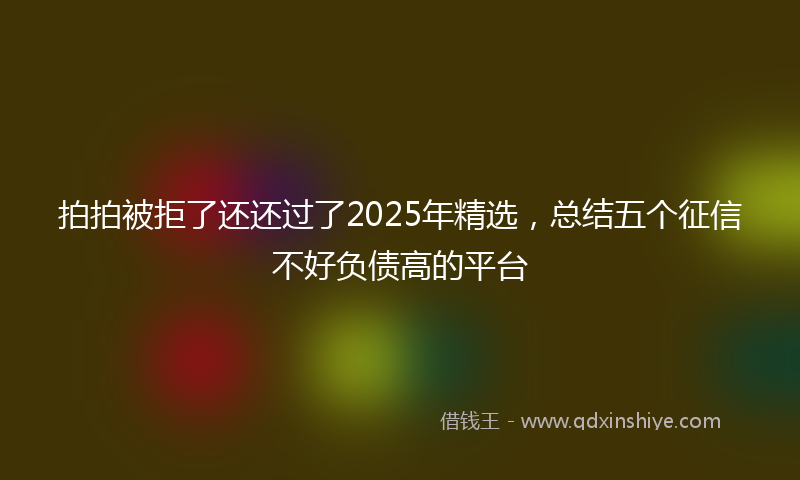 拍拍被拒了还还过了2025年精选，总结五个征信不好负债高的平台