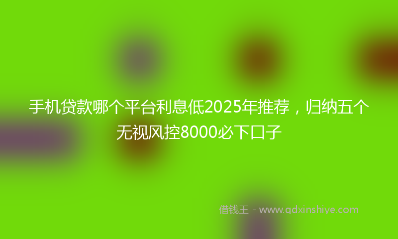 手机贷款哪个平台利息低2025年推荐，归纳五个无视风控8000必下口子