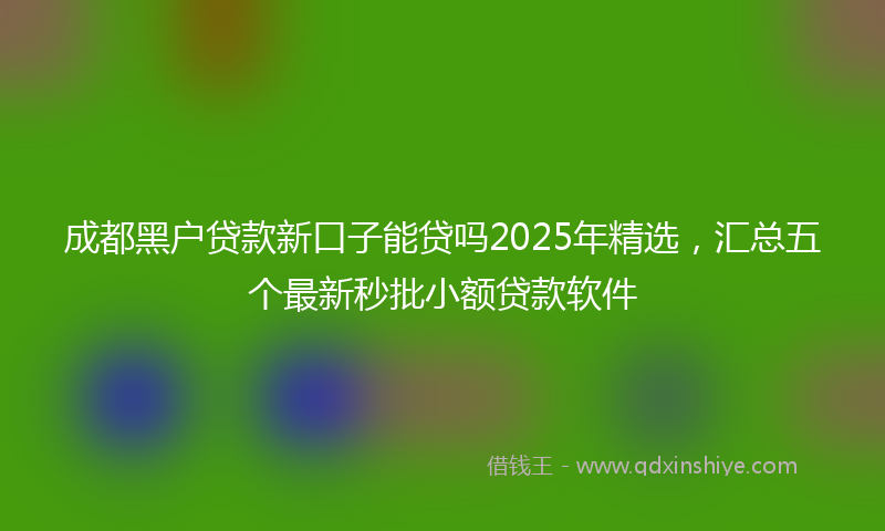 成都黑户贷款新口子能贷吗2025年精选，汇总五个最新秒批小额贷款软件