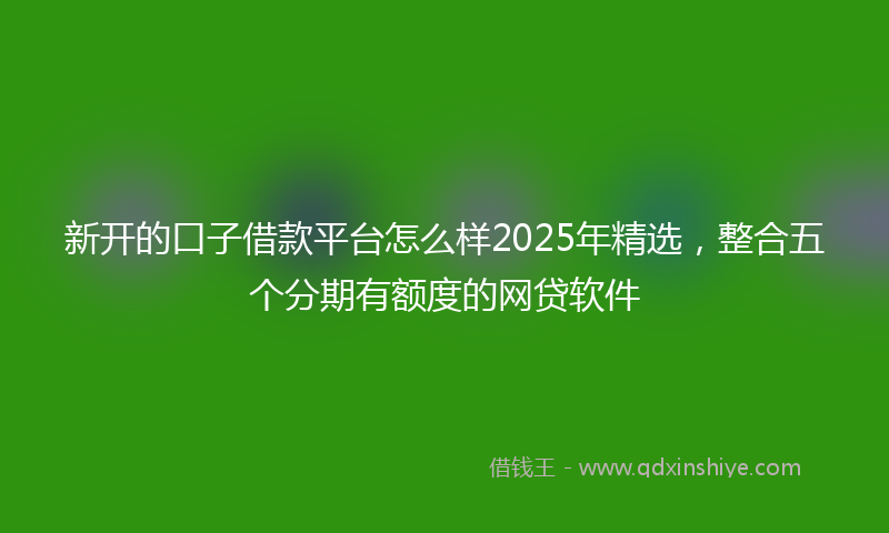 新开的口子借款平台怎么样2025年精选，整合五个分期有额度的网贷软件