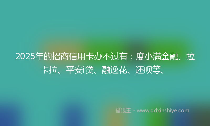 2025年的招商信用卡办不过有：度小满金融、拉卡拉、平安i贷、融逸花、还呗等。