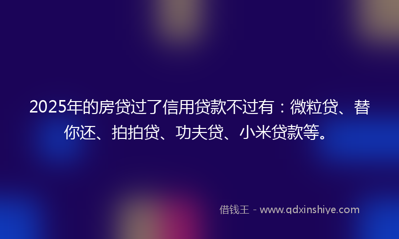 2025年的房贷过了信用贷款不过有：微粒贷、替你还、拍拍贷、功夫贷、小米贷款等。