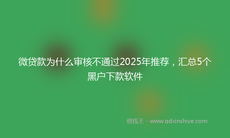 微贷款为什么审核不通过2025年推荐，汇总5个黑户下款软件