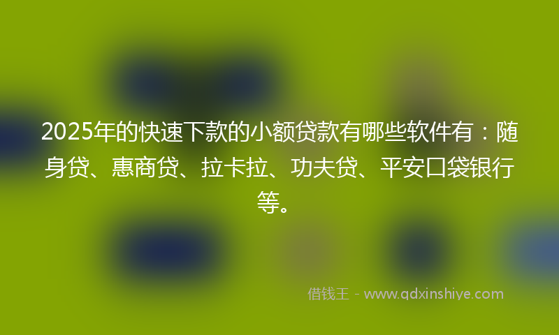 2025年的快速下款的小额贷款有哪些软件有：随身贷、惠商贷、拉卡拉、功夫贷、平安口袋银行等。