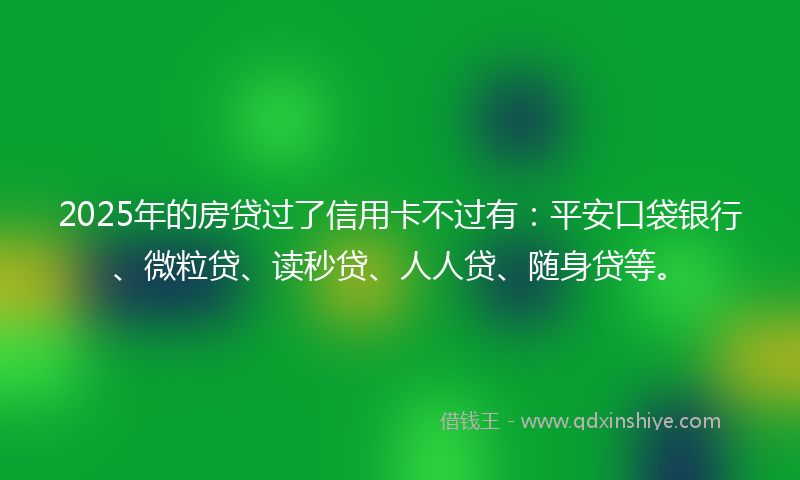 2025年的房贷过了信用卡不过有：平安口袋银行、微粒贷、读秒贷、人人贷、随身贷等。