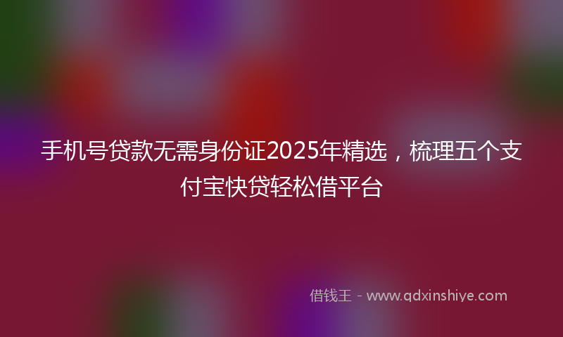 手机号贷款无需身份证2025年精选，梳理五个支付宝快贷轻松借平台