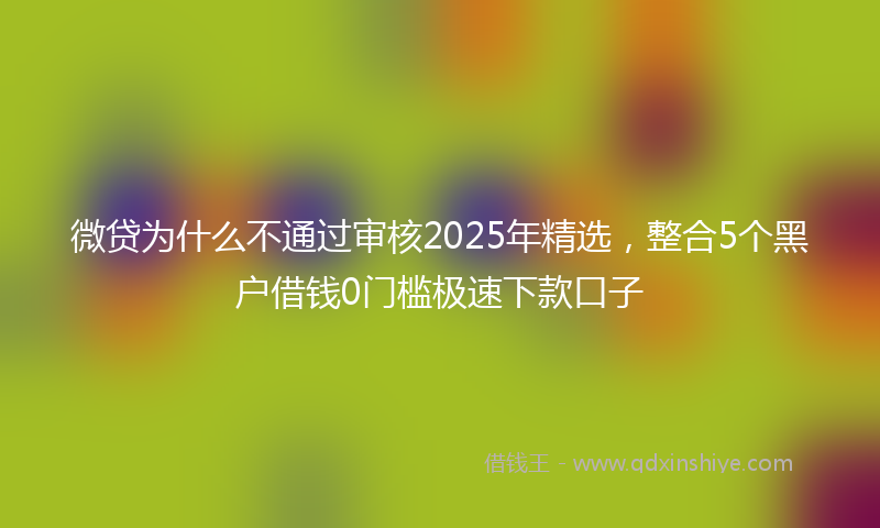 微贷为什么不通过审核2025年精选，整合5个黑户借钱0门槛极速下款口子