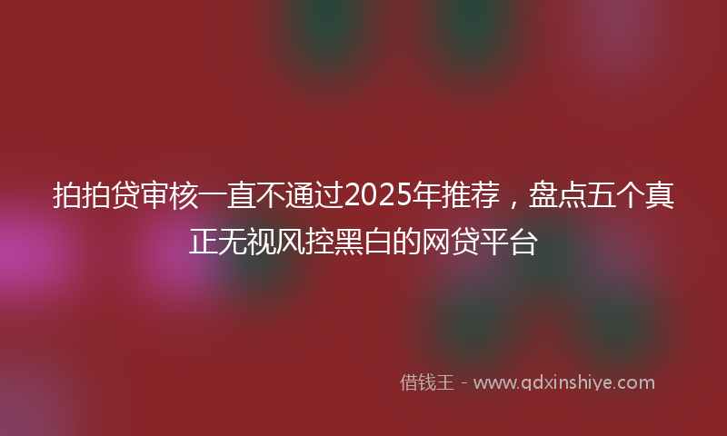 拍拍贷审核一直不通过2025年推荐，盘点五个真正无视风控黑白的网贷平台