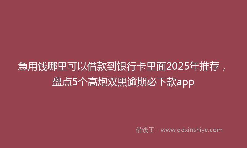 急用钱哪里可以借款到银行卡里面2025年推荐，盘点5个高炮双黑逾期必下款app