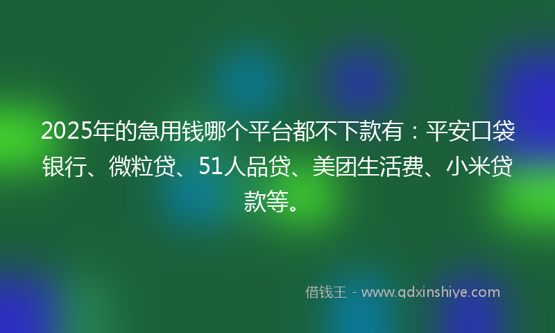 2025年的急用钱哪个平台都不下款有：平安口袋银行、微粒贷、51人品贷、美团生活费、小米贷款等。