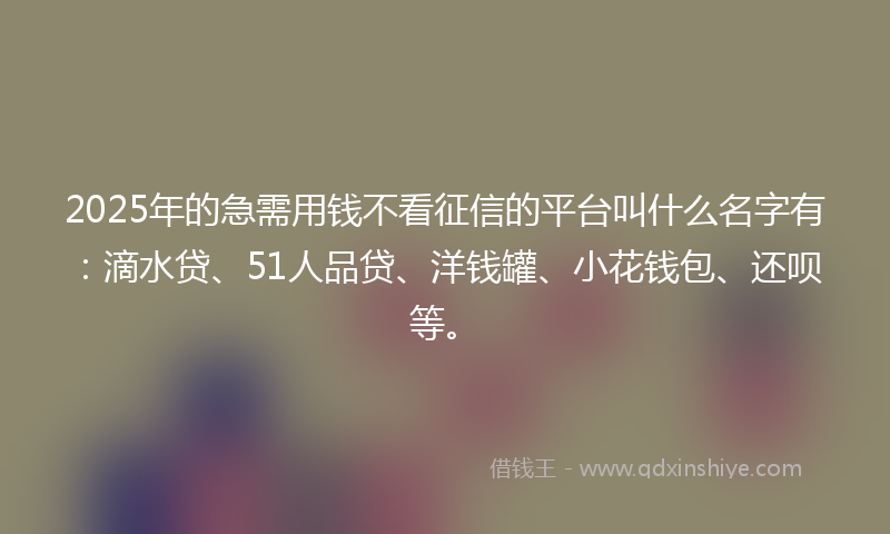 2025年的急需用钱不看征信的平台叫什么名字有：滴水贷、51人品贷、洋钱罐、小花钱包、还呗等。