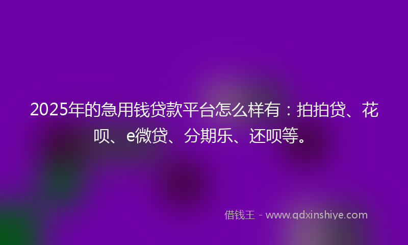 2025年的急用钱贷款平台怎么样有：拍拍贷、花呗、e微贷、分期乐、还呗等。