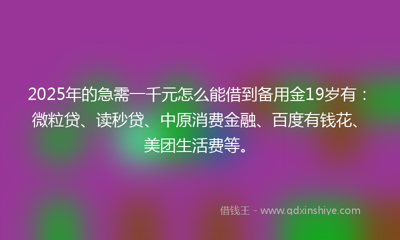 2025年的急需一千元怎么能借到备用金19岁有：微粒贷、读秒贷、中原消费金融、百度有钱花、美团生活费等。