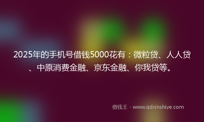 2025年的手机号借钱5000花有：微粒贷、人人贷、中原消费金融、京东金融、你我贷等。