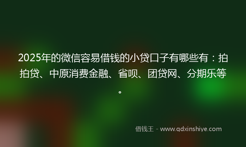 2025年的微信容易借钱的小贷口子有哪些有：拍拍贷、中原消费金融、省呗、团贷网、分期乐等。
