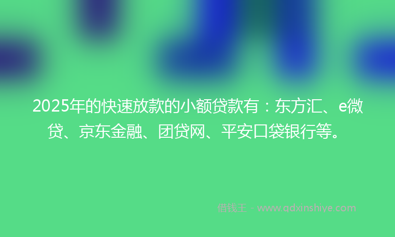 2025年的快速放款的小额贷款有：东方汇、e微贷、京东金融、团贷网、平安口袋银行等。