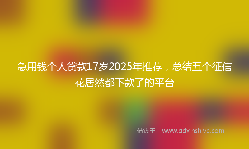 急用钱个人贷款17岁2025年推荐，总结五个征信花居然都下款了的平台
