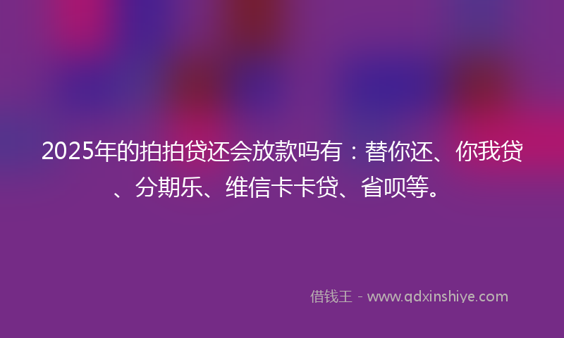 2025年的拍拍贷还会放款吗有：替你还、你我贷、分期乐、维信卡卡贷、省呗等。