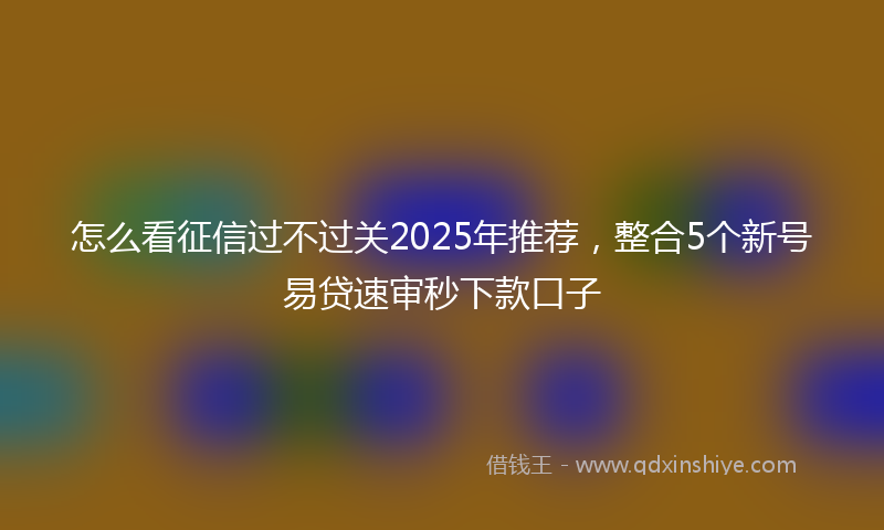 怎么看征信过不过关2025年推荐，整合5个新号易贷速审秒下款口子
