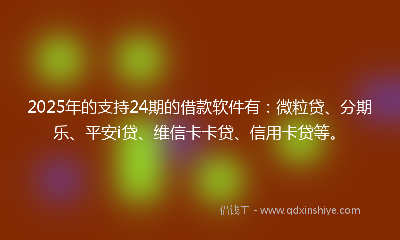 2025年的支持24期的借款软件有：微粒贷、分期乐、平安i贷、维信卡卡贷、信用卡贷等。