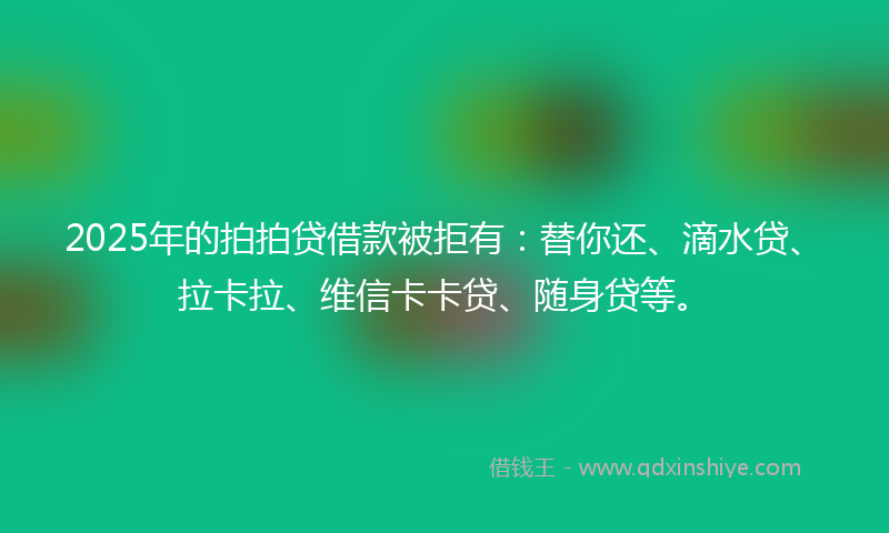 2025年的拍拍贷借款被拒有：替你还、滴水贷、拉卡拉、维信卡卡贷、随身贷等。