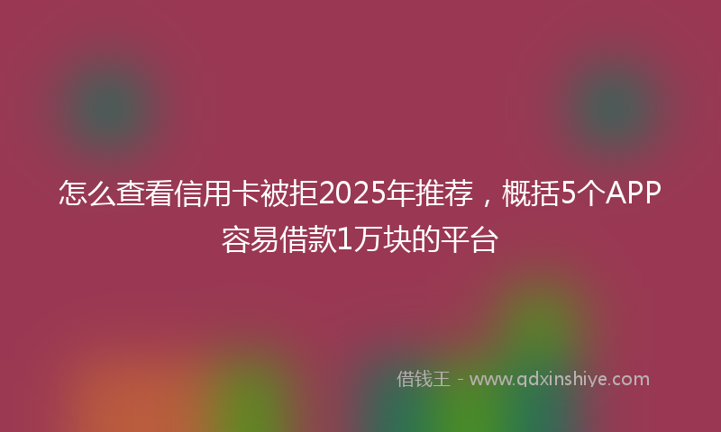 怎么查看信用卡被拒2025年推荐，概括5个APP容易借款1万块的平台