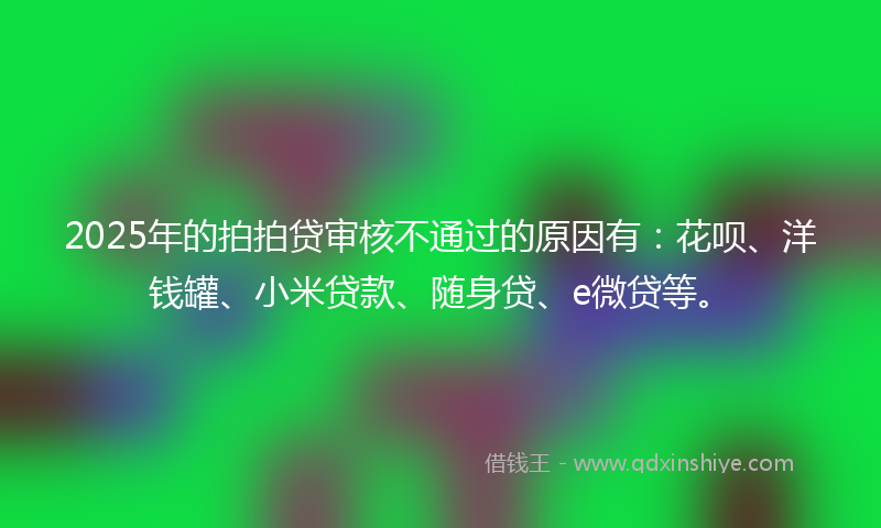 2025年的拍拍贷审核不通过的原因有：花呗、洋钱罐、小米贷款、随身贷、e微贷等。