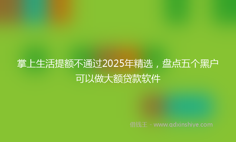 掌上生活提额不通过2025年精选，盘点五个黑户可以做大额贷款软件
