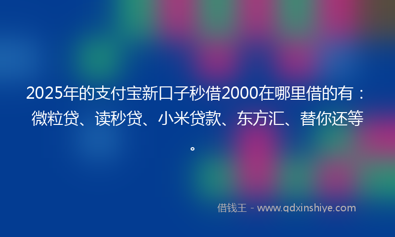 2025年的支付宝新口子秒借2000在哪里借的有：微粒贷、读秒贷、小米贷款、东方汇、替你还等。