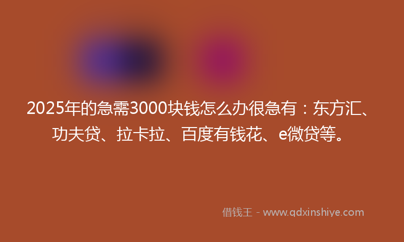 2025年的急需3000块钱怎么办很急有：东方汇、功夫贷、拉卡拉、百度有钱花、e微贷等。