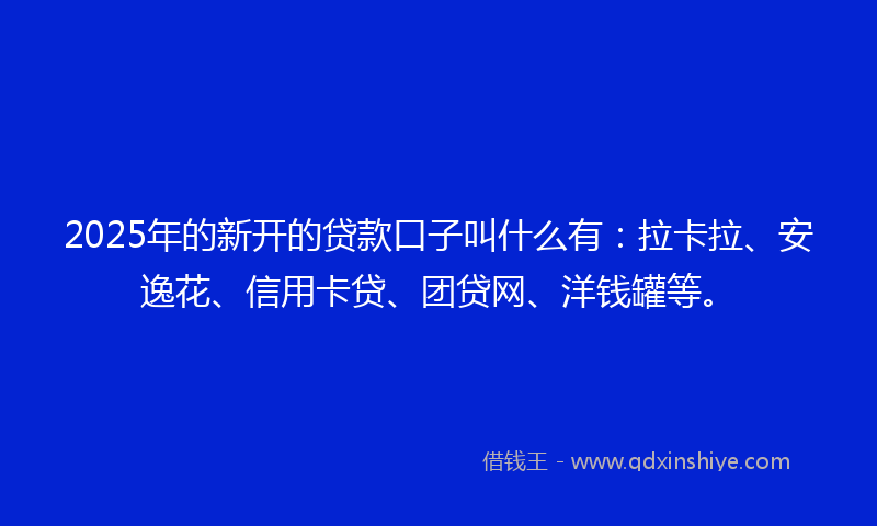 2025年的新开的贷款口子叫什么有：拉卡拉、安逸花、信用卡贷、团贷网、洋钱罐等。