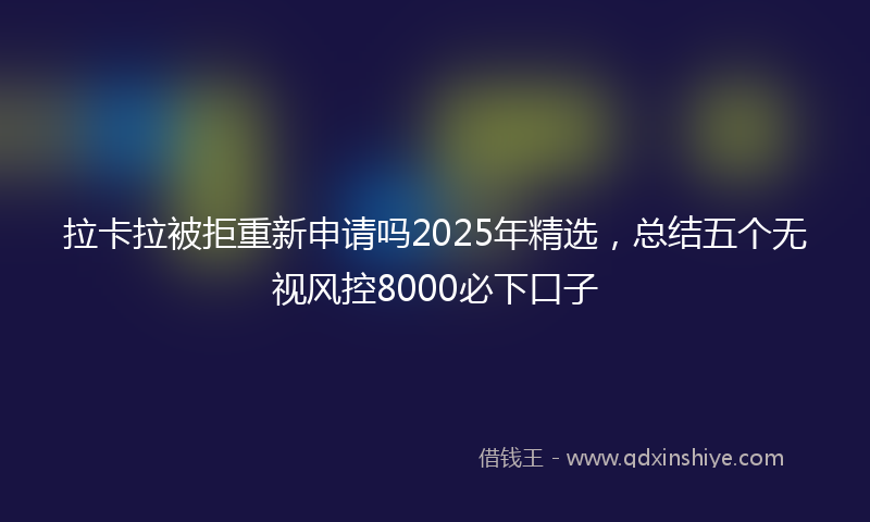拉卡拉被拒重新申请吗2025年精选，总结五个无视风控8000必下口子