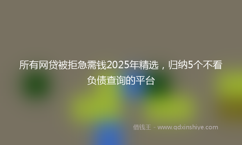 所有网贷被拒急需钱2025年精选，归纳5个不看负债查询的平台