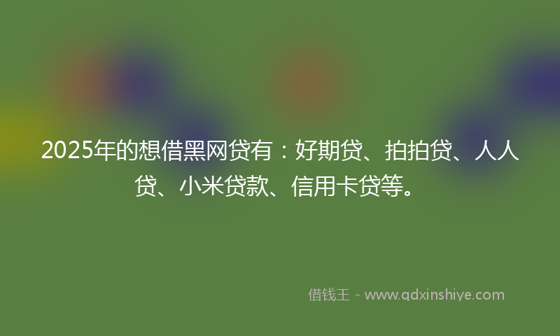 2025年的想借黑网贷有：好期贷、拍拍贷、人人贷、小米贷款、信用卡贷等。