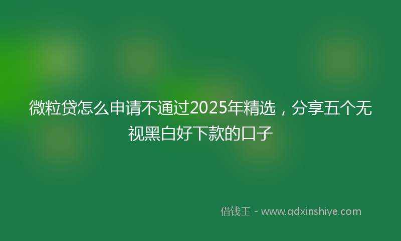 微粒贷怎么申请不通过2025年精选，分享五个无视黑白好下款的口子