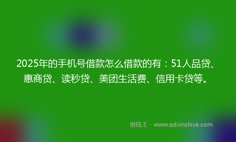 2025年的手机号借款怎么借款的有：51人品贷、惠商贷、读秒贷、美团生活费、信用卡贷等。