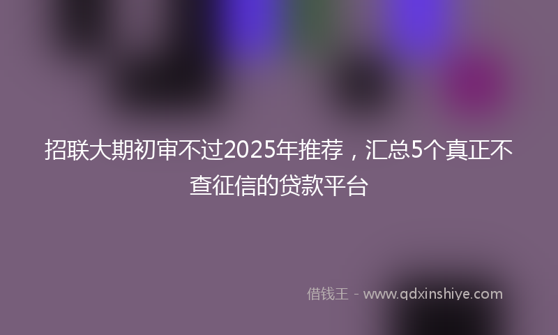 招联大期初审不过2025年推荐，汇总5个真正不查征信的贷款平台