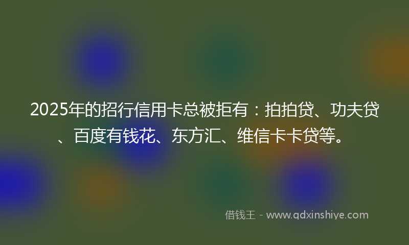 2025年的招行信用卡总被拒有：拍拍贷、功夫贷、百度有钱花、东方汇、维信卡卡贷等。