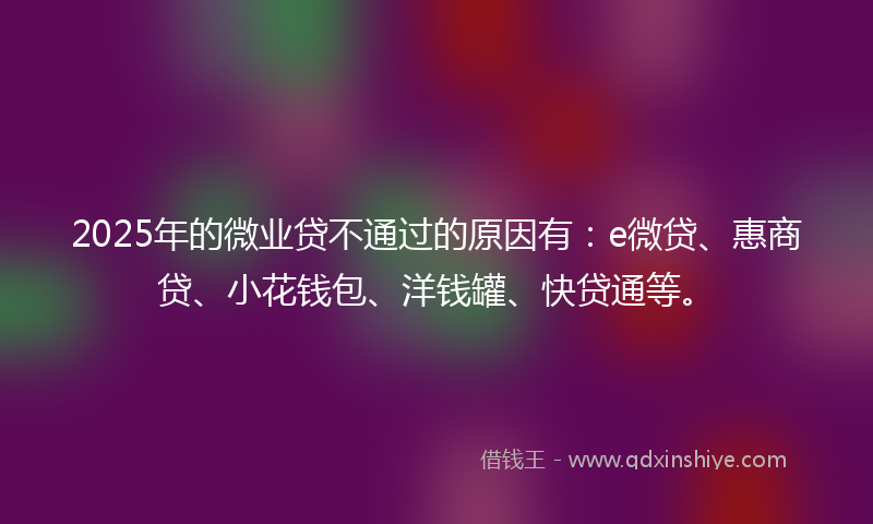 2025年的微业贷不通过的原因有：e微贷、惠商贷、小花钱包、洋钱罐、快贷通等。
