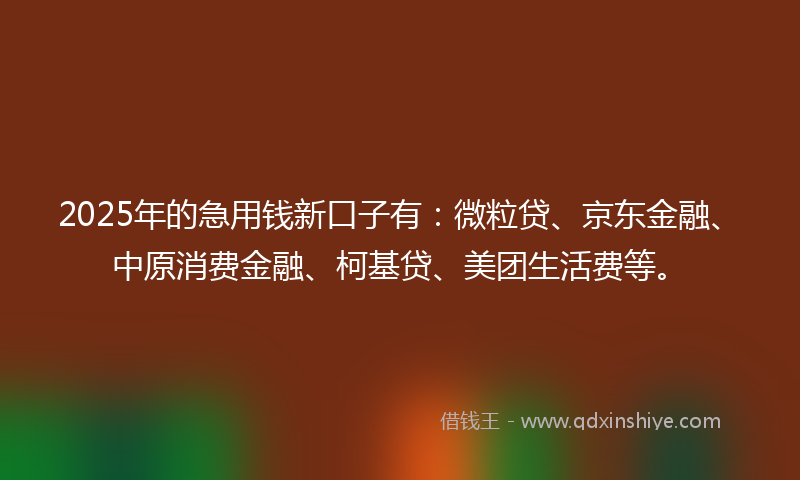 2025年的急用钱新口子有：微粒贷、京东金融、中原消费金融、柯基贷、美团生活费等。